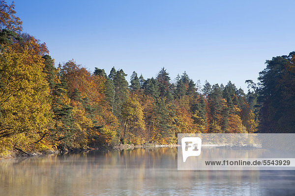 Bärensee im Herbst  bei Stuttgart  Baden-Württemberg  Deutschland  Europa