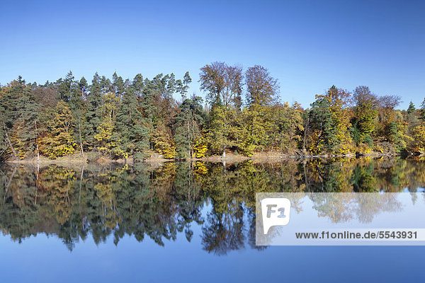 Bärensee im Herbst  bei Stuttgart  Baden-Württemberg  Deutschland  Europa