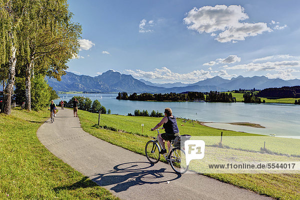 Cyclist on Lake Forggensee  Upper Bavaria  Bavaria  Germany  Europe  PublicGround