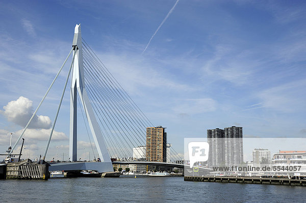 Erasmusbrug  Erasmus Brücke und Nieuwe Maas Fluss  Rotterdam  Holland  Nederland  Niederlande  Europa