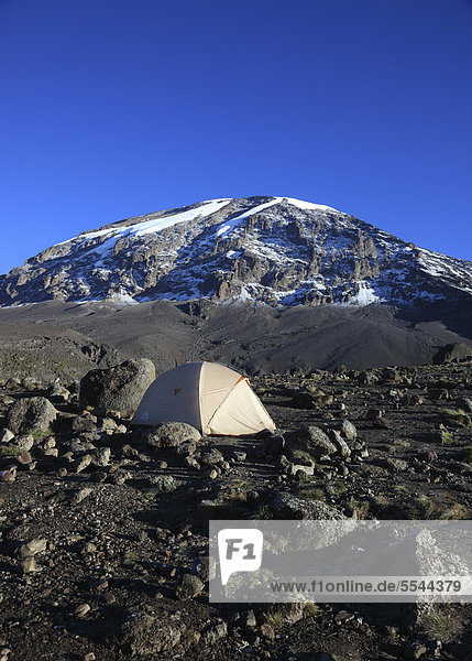 Tent with a view to the summit of Mount Kilimanjaro  as seen from the Barranco Hut  Tanzania  Africa