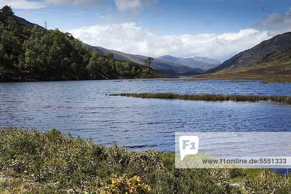 Blick nach Westen von der Mündung am Loch Beannacharan  in Richtung Oberlauf des Glen Strathfarrar im Schottischen Hochland  Schottland  Großbritannien  Europa