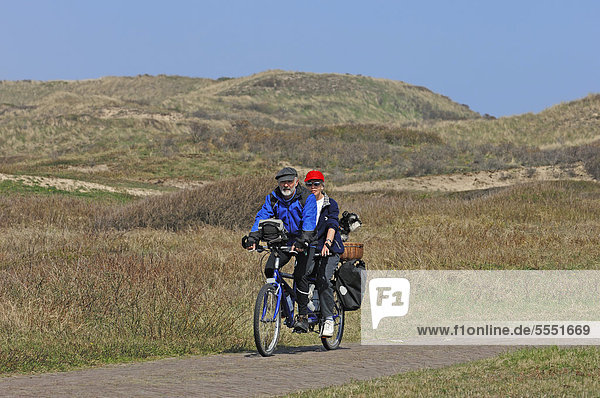 Couple riding a tandem bicycle with a miniature schnauzer in a basket  Castricum  North Holland  Holland  Netherlands  Europe