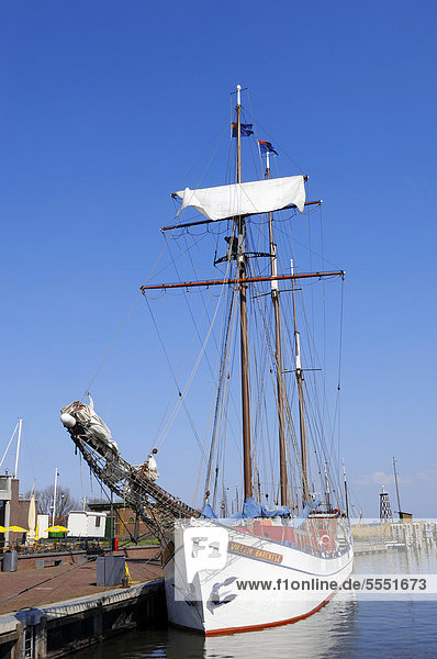 Segelschiff im Hafen  Enkhuizen  Nordholland  Holland  Niederlande  Europa