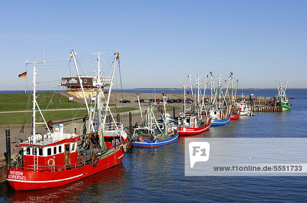 Krabbenkutter im Hafen  Accumersiel  Ostfriesland  Niedersachsen  Deutschland  Europa