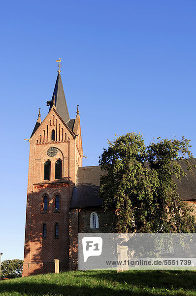 Kirche St. Bonifatii in Arle  Ostfriesland  Niedersachsen  Deutschland  Europa
