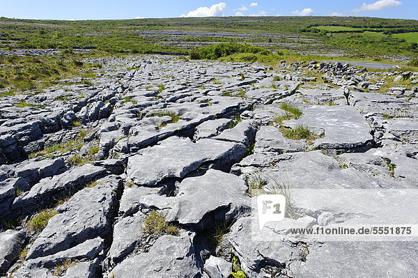 Kalkstein-Auswaschung bei Ballyallaban  Burren  County Clare  Irland  Europa