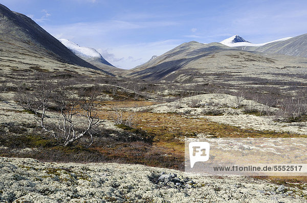 Fjelllandschaft vor schneebedeckten Bergen im Rondane Nationalpark Norwegen Europa