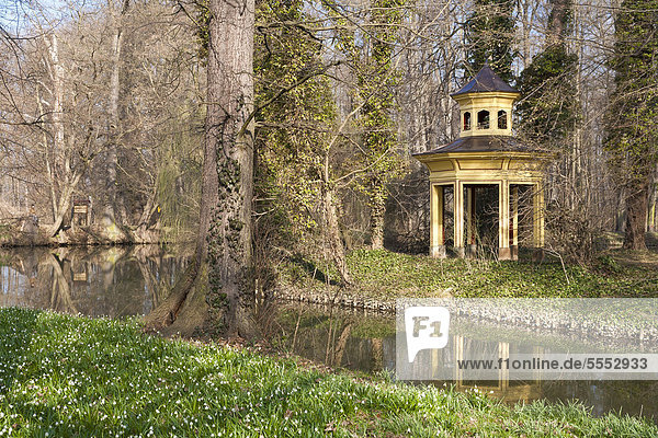 Chinesischer Pavillon spiegelt sich im Schlossteich  Märzenbecherblüte im Schlosspark Jahnishausen bei Riesa  Fluss Jahna  Frühling  Sachsen  Deutschland  Europa