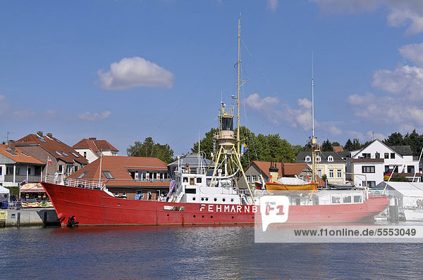 Hafen Holstein-Rind Deutschland Neustadt Norddeutschland Schleswig-Holstein