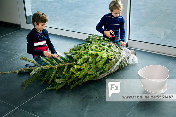 Interior  zu Hause  Junge - Person  Vorbereitung  Baum  Weihnachten
