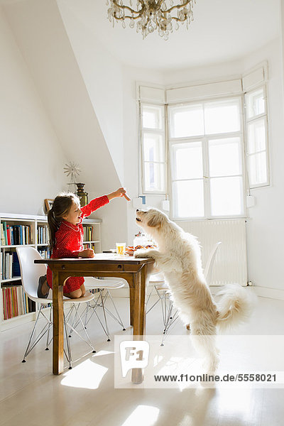 Girl feeding dog at table