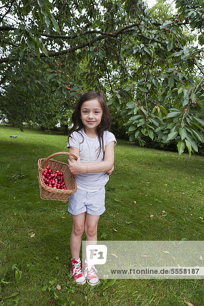 Mädchen sammelt Früchte im Korb