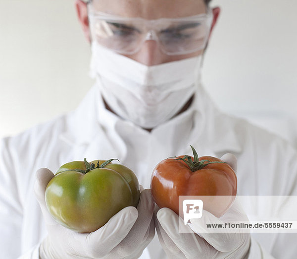 Wissenschaftler untersucht Tomaten im Labor