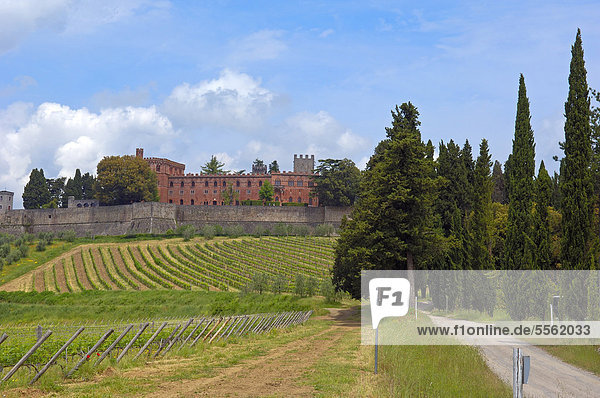Ricasoli Weingut  Chianti-Region  Castello di Brolio  Schloss Brolio  Provinz Siena  Toskana  Italien  Europa