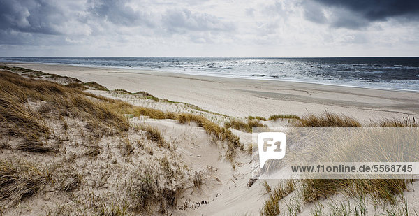Strand und Dünen auf Sylt  Deutschland