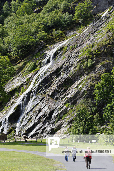 Powerscourt Wasserfall Enniskerry Wicklow Mountains County Wicklow Irland Europa