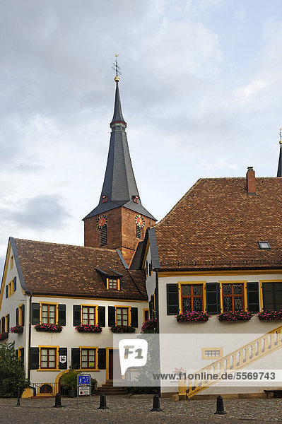 Historisches Rathaus und Pfarrkirche St. Ulrich  Deidesheim  Deutsche Weinstraße  Pfälzerwald  Rheinland-Pfalz  Deutschland  Europa