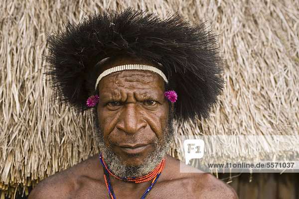 Mann vom Stamm der Dani  Portrait  Baliem-Tal  West Papua  West-Neuguinea  Indonesien  Asien