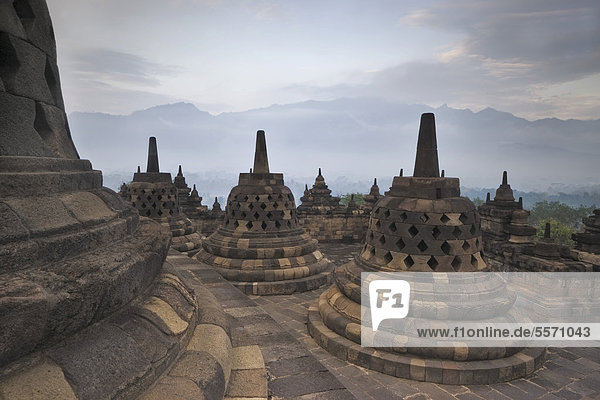 Stupas im Morgengrauen  buddhistische Tempelanlage Borobudur  Borobodur  Java  Indonesien  Südostasien