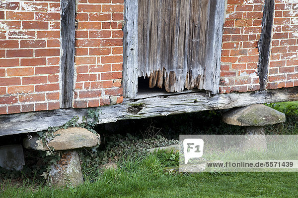 Granary with bricks and rotten wooden door  supported by mushroom-shaped staddle stones  old barn at Cowdray  Midhurst  West Sussex  England  United Kingdom  Europe