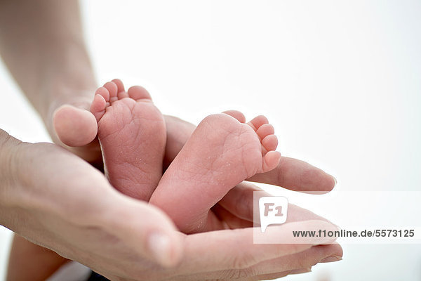 Hands of an adult holding the feet of a baby  1 month