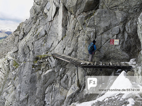 Italy  Retiche Alps  Lagoscuro Mountain Chain  Rope Bridge the Via Ferrata Sentiero dei Fiori                                                                                                           