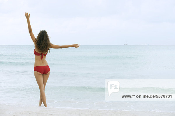 Woman in bikini walking at the beach  rear view