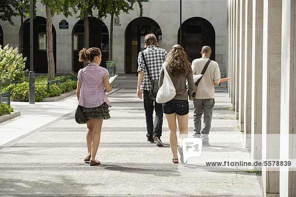 University students walking on campus  rear view