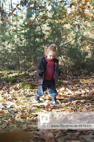 Kleinkind Mädchen beim Spaziergang im Herbstlaub