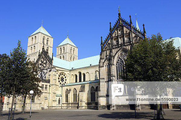 St.-Paulus-Dom in Münster  Münsterland  Nordrhein-Westfalen  Deutschland  Europa  ÖffentlicherGrund