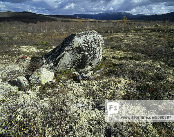 Fjelllandschaft mit Felsblock am Jotunheimvegen von SkÂlbu  Skalbu  nach Bygdin  Jotunheimen  Oppland  Norwegen  Skandinavien  Europa