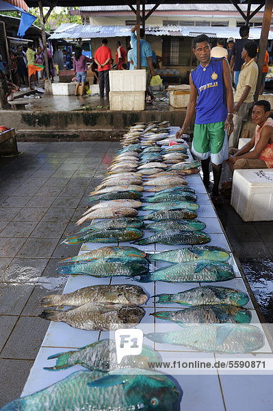 Fischverkäufer Papuas verkauf Korallenfische Lippfische auf dem Fischmarkt in Kota Biak Insel Biak West-Papua Indonesien Südostasien Asien