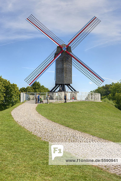 Alte Windmühle an der Vlaanderen Fietsroute am Coupure-Kanal  Brügge  Westflandern  Flämische Region  Belgien  Europa