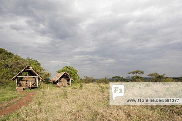 Ikoma Wild Camp  überdachte Zelte in der weiten Savanne  Serengeti Nationalpark  Tansania  Ostafrika  Afrika