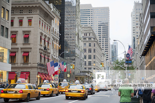 Verkehr in der Metropole  Yellow Cabs  gelbe Taxis in der 5th Avenue  Manhattan  New York City  New York  USA  Nordamerika  Amerika