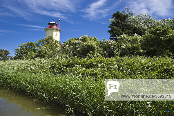 Leuchtturm am Deich  Westermarkelsdorf  Insel Fehmarn  Ostsee  Schleswig-Holstein  Deutschland  Europa