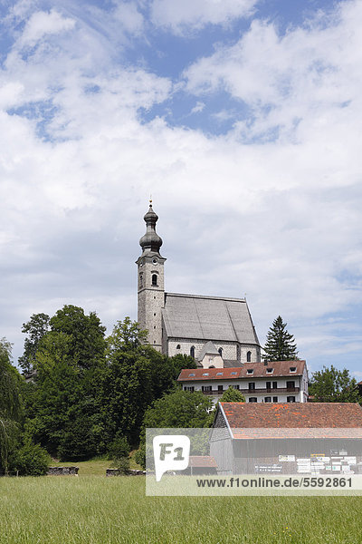 Katholische Pfarrkirche Mariä Himmelfahrt  Anger  Rupertiwinkel  Berchtesgadener Land  Oberbayern  Bayern  Deutschland  Europa  ÖffentlicherGrund