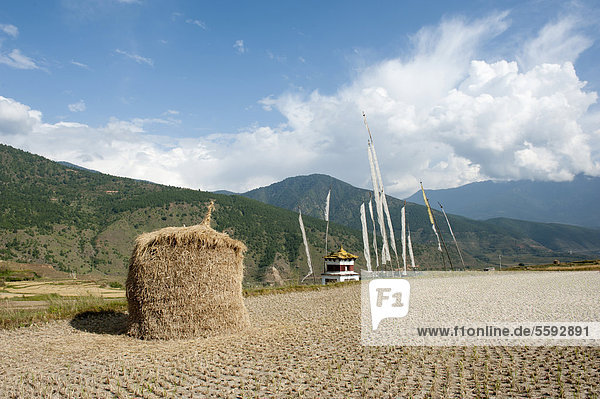 Pilgerort  Haufen Stroh  Feld beim Fruchtbarkeitstempel Chimi Lakhang  Chörten mit Fahnen  bei Punakha  Himalaja  Königreich Bhutan  Südasien  Asien