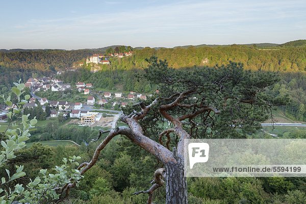 Deutschland  Bayern  Franken  Fränkische Schweiz  Blick auf Egloffstein mit Burg im Tal