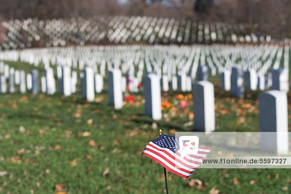 Arlington National Cemetery  Virginia USA