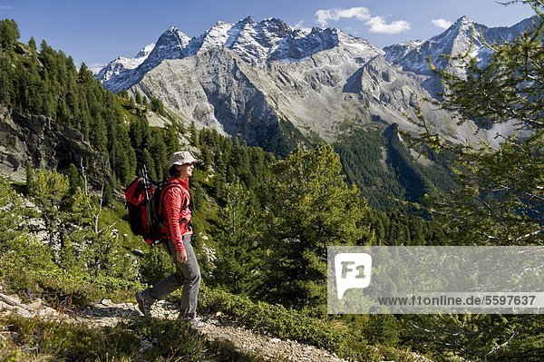 Hiker in the Dolomites  South Tyrol  Italy
