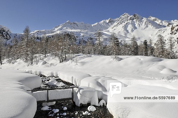 Verschneiter Gebirgsbach  Ultental  Südtirol  Italien