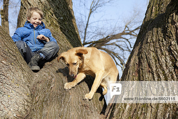 Junge und Hund klettern Baum zusammen