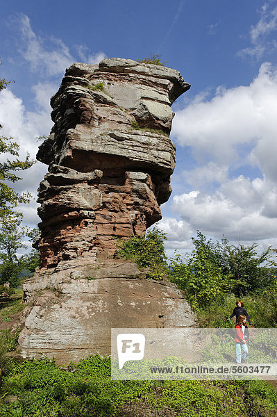 Castle rock  ruins of Anebos Castle near Annweiler am Trifels  German Wine Route  Rhineland-Palatinate  Germany  Europe