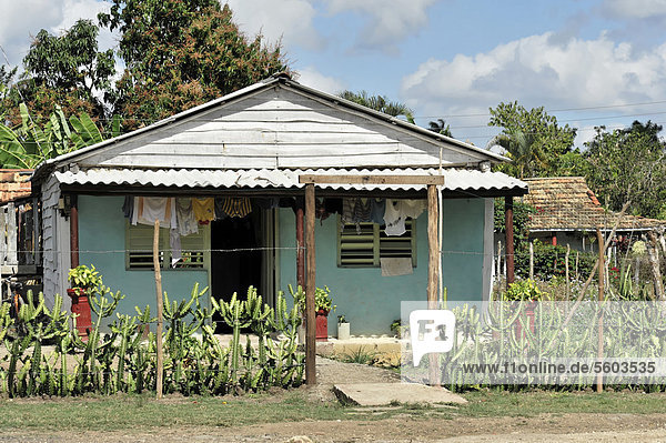 Typisches kubanisches Haus mit einer Hecke aus Kakteen  Nähe Trindad  Trinidad  Provinz Sancti Spiritus  Kuba  Große Antillen  Mittelamerika  Amerika
