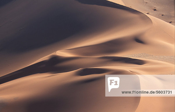 Sanddünen von Sossusvlei in der Namib-Wüste  Namib-Naukluft-Nationalpark  Namibia  Afrika
