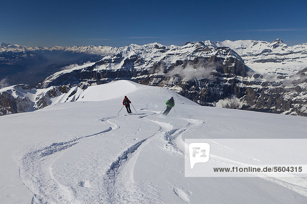 Skiing tour with mountain panoramic views  ski run through powder snow from Mt Torrenthorn  Leukerbad  Valais  Switzerland  Europe