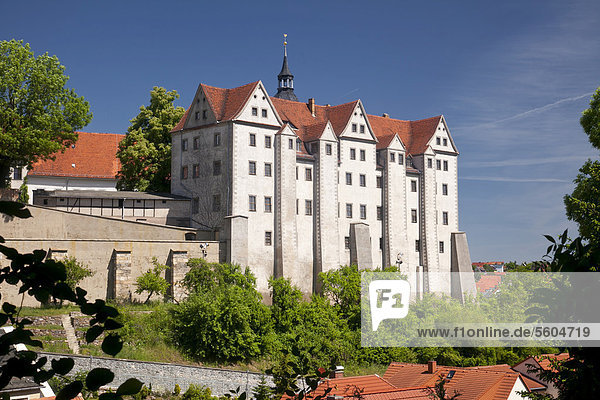 Schloss Nossen  Sachsen  Deutschland  Europa