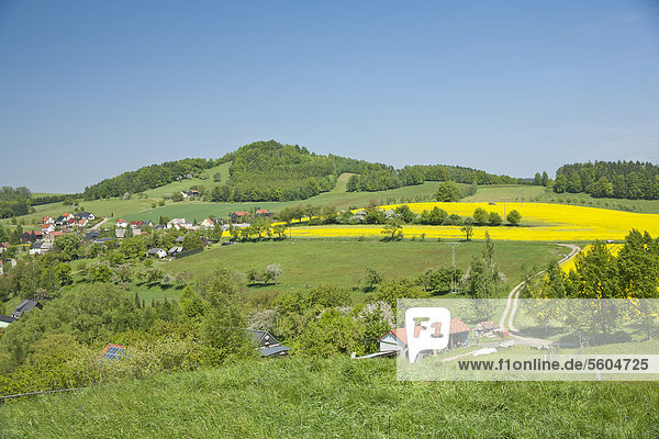 Blick auf Goßdorf mit Gickelsberg vom Hankehübel  Sächsische Schweiz  Sachsen  Deutschland  Europa